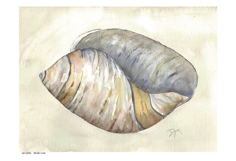 Framed Sea Shell Neutral 1 Print