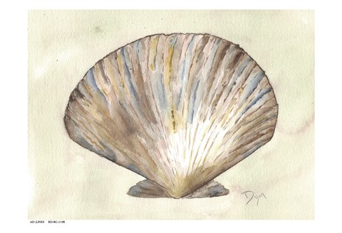 Framed Sea Shells Neutral 2 Print