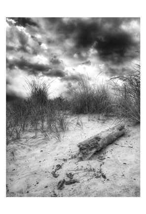 Framed Wood Beach Sky BW Print