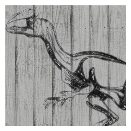 Framed Dino On Wood II Print