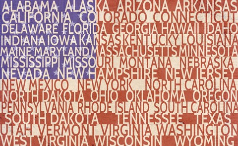 Framed US Flag Print