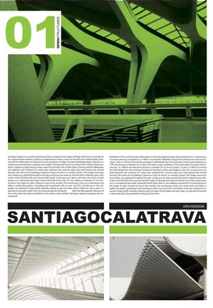 Framed Calatrava Print