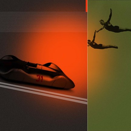 Framed Silver Flight Print