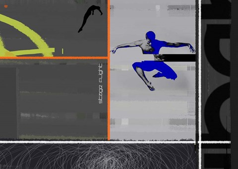 Framed Stage Flight Print