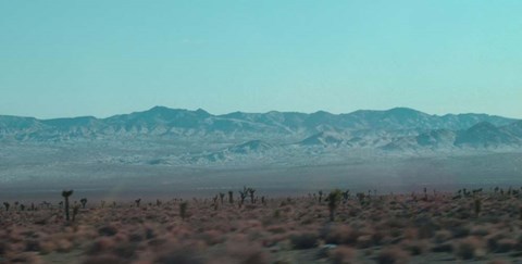 Framed Joshua Trees Print