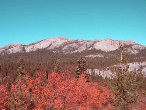 Framed Sierra Nevada Mountains Print