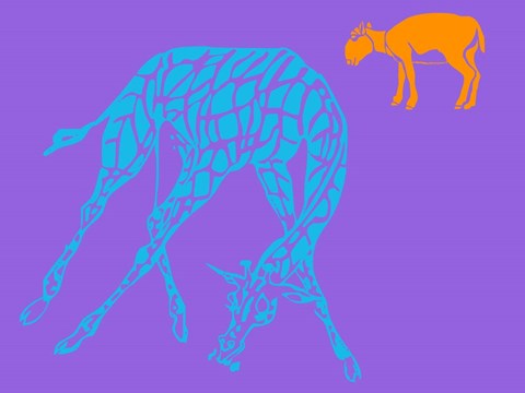 Framed Safari 3 Print