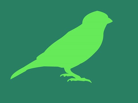 Framed Light Green Bird Print