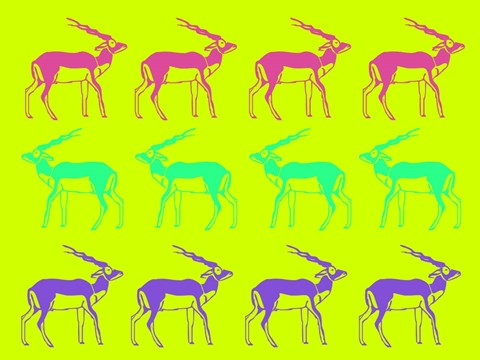 Framed Safari 12 Print