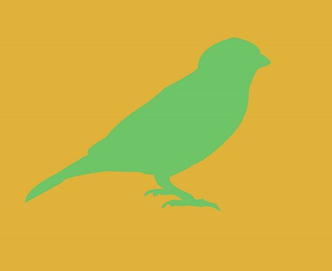 Framed Green Bird Print