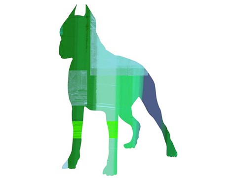 Framed Boxer 1 Print