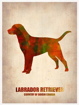 Framed Labrador Retriever Print