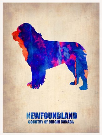 Framed Newfoundland 2 Print