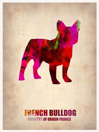 Framed French Bulldog Print