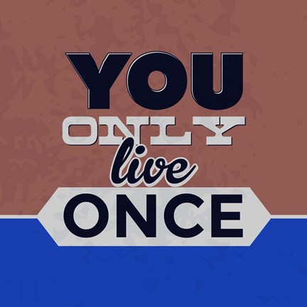 Framed You Only Live Once 1 Print