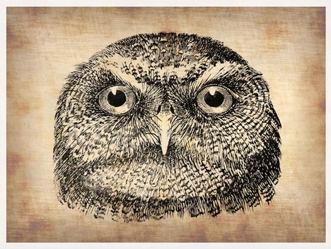 Framed Vintage Owl Face Print