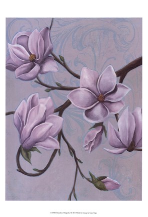 Framed Branches of Magnolia I Print