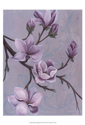 Framed Branches of Magnolia II Print