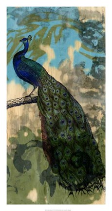 Framed Rustic Peacock II Print
