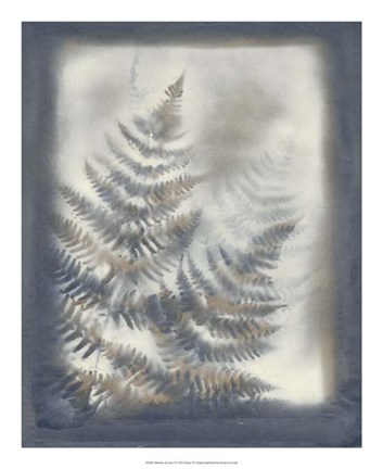 Framed Shadows &amp; Ferns VI Print