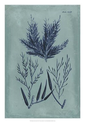 Framed Indigo &amp; Azure Seaweed I Print