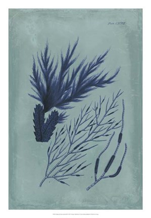Framed Indigo &amp; Azure Seaweed II Print
