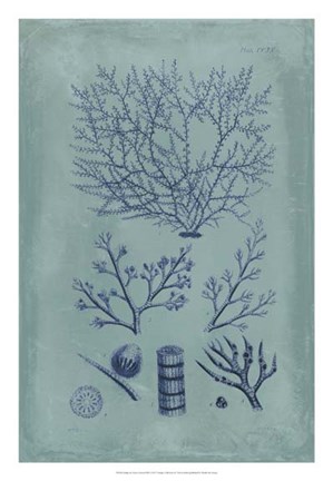 Framed Indigo &amp; Azure Seaweed III Print