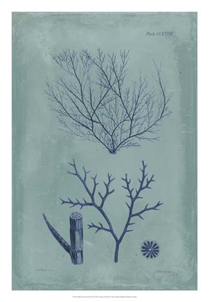 Framed Indigo &amp; Azure Seaweed VII Print