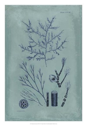 Framed Indigo &amp; Azure Seaweed VIII Print