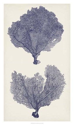 Framed Indigo Seafans II Print