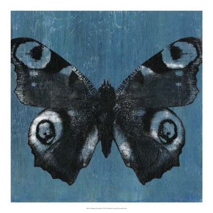 Framed Chambray Butterflies I Print