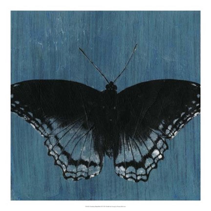 Framed Chambray Butterflies II Print