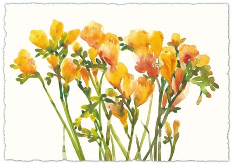 Framed Freesia II Print