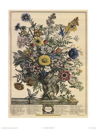 Framed November/Twelve Months of Flowers, 1730 Print