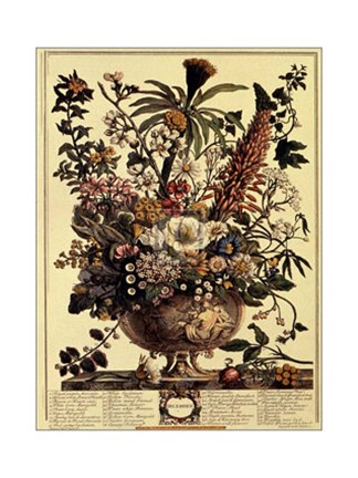 Framed December/Twelve Months of Flowers, 1730 Print