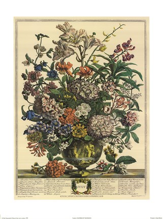 Framed July/Twelve Months of Flowers, 1732 Print