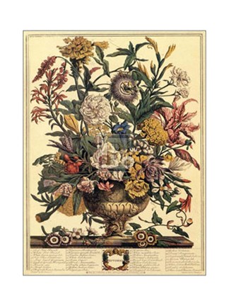 Framed September/Twelve Months of Flowers, 1730 Print