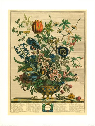Framed February/Twelve Months of Flowers, 1730 Print