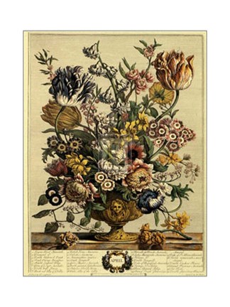 Framed April/Twelve Months of Flowers, 1730 Print