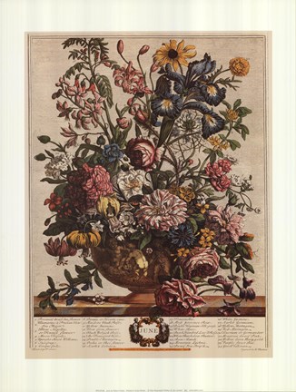 Framed June/Twelve Months of Flowers, 1732 Print