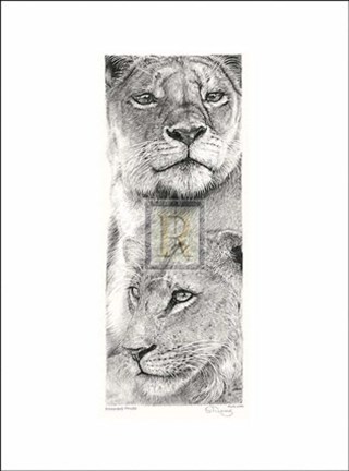 Framed Big Cat II Print