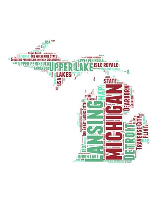 Framed Michigan Word Cloud Map Print