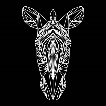 Framed Zebra on Black Print