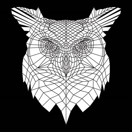 Framed White Owl Mesh Print