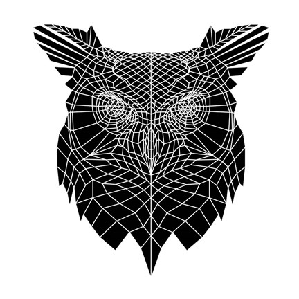 Framed Black Owl Head Mesh Print