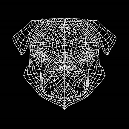 Framed Pug Head Black Mesh Print