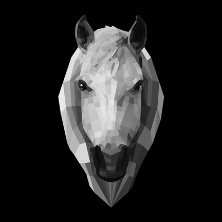 Framed Horse Head Print