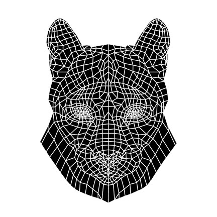 Framed Mountain Lion Mesh Print