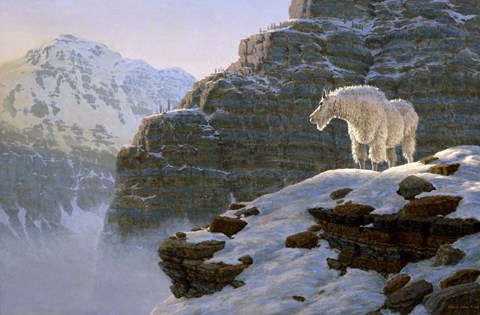 Framed Touch Of Warmth Print