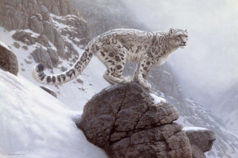 Framed Winter&#39;s Veil Print